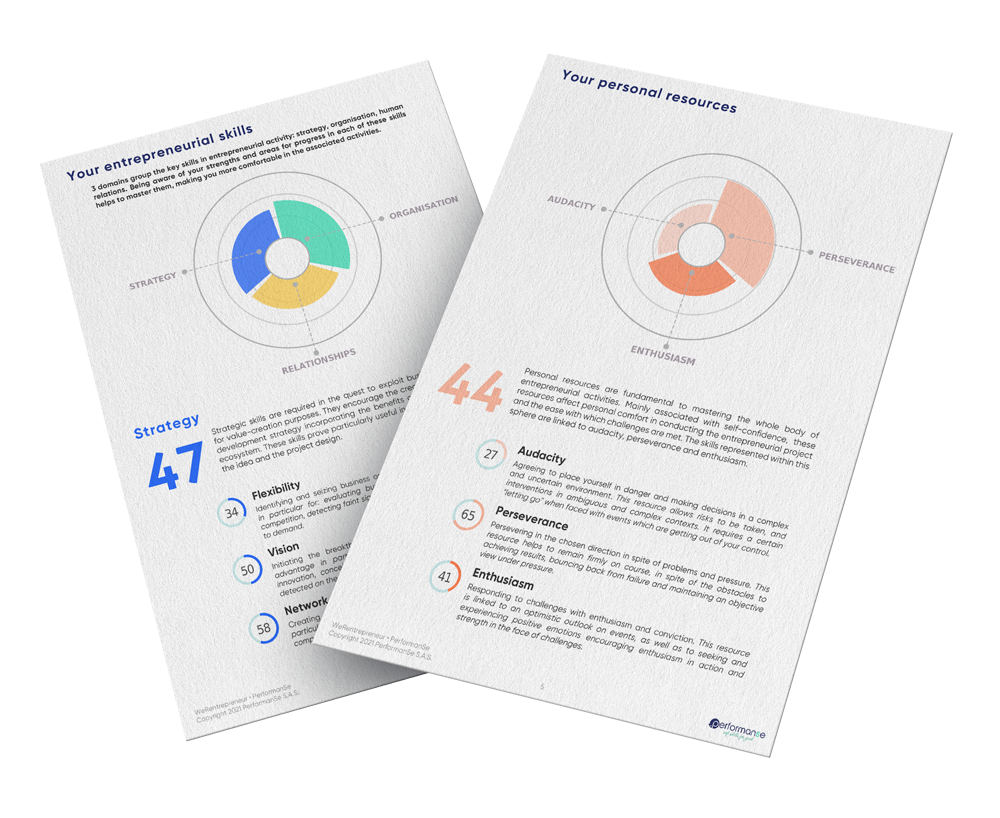 mockup report werentrepreneur